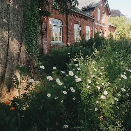 Urlaub Auf Einem Alten Resthof Am شقة *